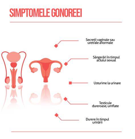 Infografic: cum se transmite gonoreea și herpes în contextul sexului oral