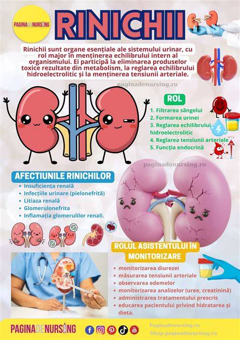 Infografic: rolul calciului în organism (absorbție, funcții, surse)