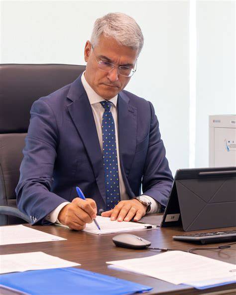 Schemă: Relațiile dintre sarcini, programe, jaloane și proiecte