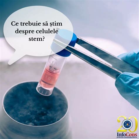 Ilustrație a mecanismului prin care stresul afectează celulele stem ale foliculului pilos