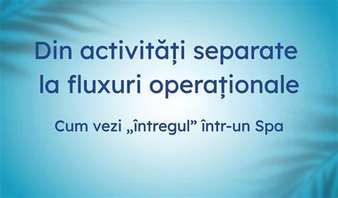 Infografic: Fluxuri operaționale într-o pensiune (administrare, curățenie, rezervări, relații cu clienții)