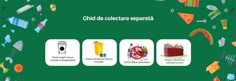 Infografic: fluxuri colectare separată, stații transfer, tratare