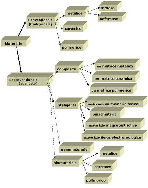 Infografic: Clasificarea principalelor materiale lemnoase si aplicatii in tamplarie