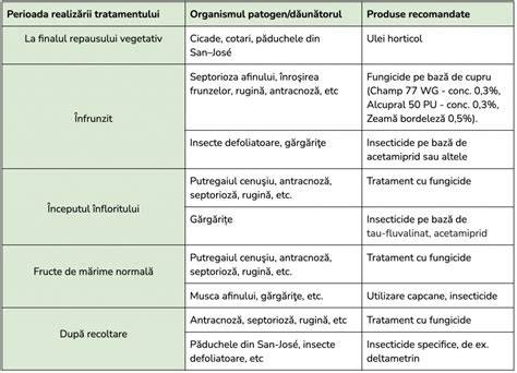 Schema de tratament a metroragiei în funcție de cauză