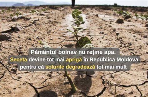 Infografic: Seceta și degradarea resurselor de apă în Siria (2006-2010)