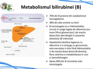 Diagrama bilirubinei: conjugată vs. neconjugată