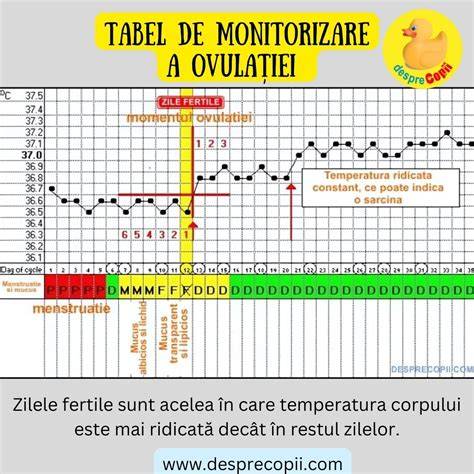 Procesul de interpretare a testelor LH si ovulatie