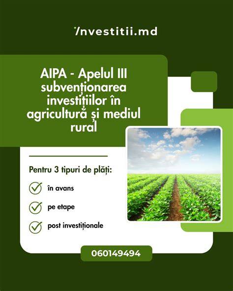 Diagrama arătată între etape: substrat traco-dac, romanizare, isolare, formare protoromână, naștere română