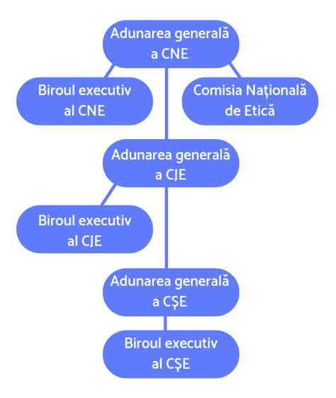 Infografic: Structura și fluxul decizional al Consiliului Elevilor