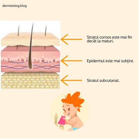 Pielea bebelușului comparativ cu pielea adultului