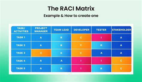 Infografic despre matricea RACI