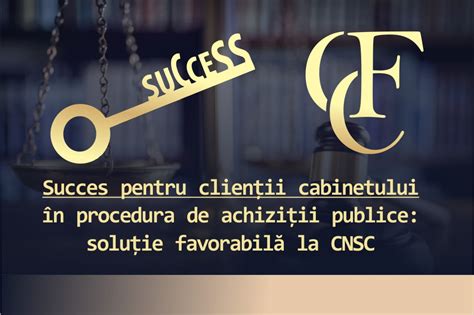 Infografic - cadrul Căilor de atac în achiziții publice: CNSC vs Instanță