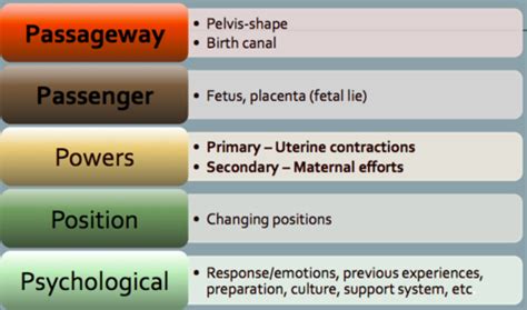 Diagrama celor 4P ale travaliului: Power, Passage, Passenger, Psychological state