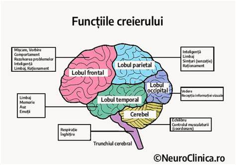 Infografic: 8 funcții cognitive ale creierului