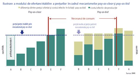 Infografic: litopedion, mecanismul formării și localizările posibile