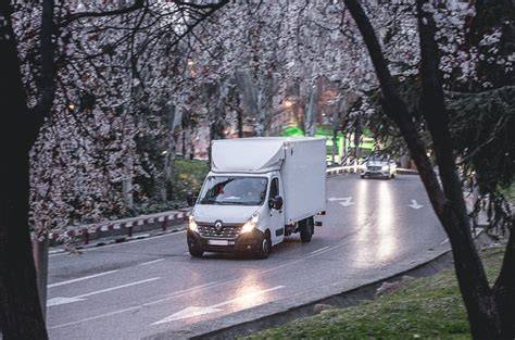 Imagine: duba de marfă compatibilă cu categoria B