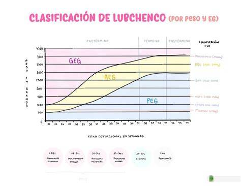 diagrame_crestere_fetala_ Lubchenco_curbe.png