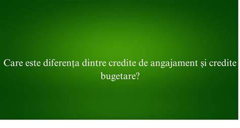 Infografic: procesul virărilor de credite bugetare