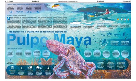 Reprezentare Marea Numărătoare Maya