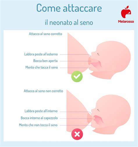 conceptele_puerperale.jpg
