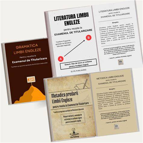 Infografic: 10 piloni ai programei de titularizare pentru limba şi literatura maghiară maternă