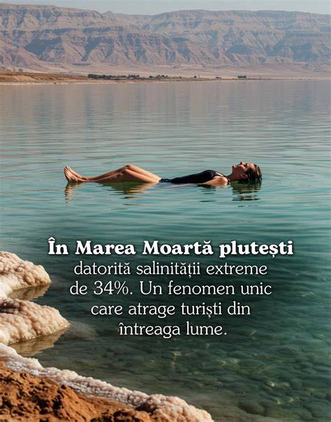 Infografic: sinonoamele lui prodigios, extraordinar, uimitor, fecund, bogat, amplu