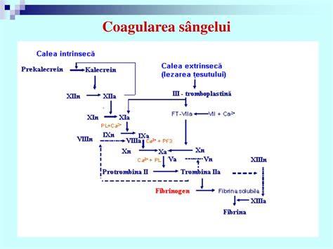 Infografic: Cascada coagularii si rolul factorilor de coagulare