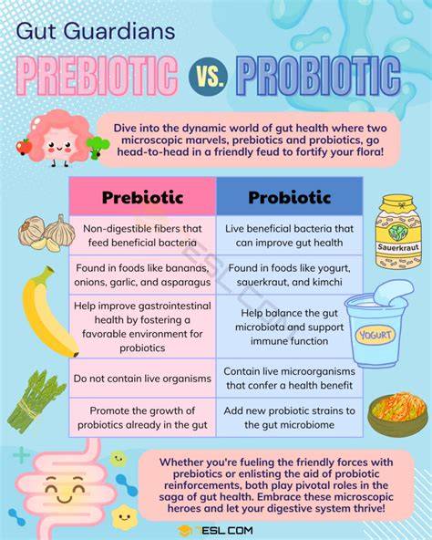 Schema comparativă: probiotic vs. anti-gaz