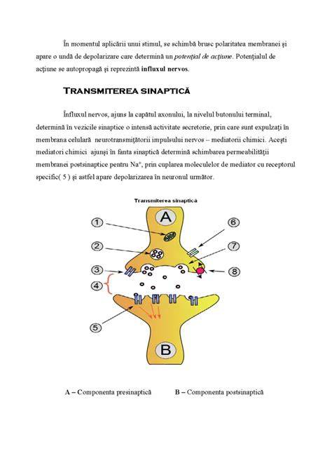 Infografic despre structura ARPCAPA și rolul său în psihiatria pediatrică