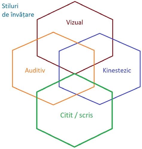 Schema de conectare între stiluri de învățare și tehnici de raționament