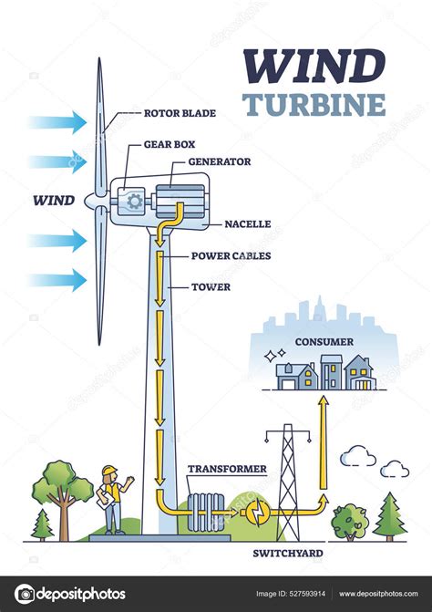 Diagrama structurii departamentului de obstetrică-ginecologie