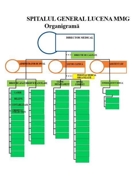 Infografic: organigrama spitalului și fluxul pacientului în psihiatria pediatrică
