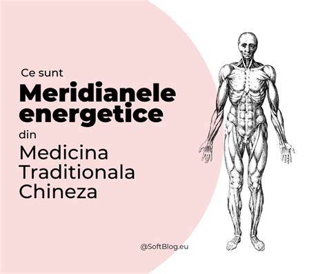 Schema meridianelor energetice si pozitionarea punctelor principale