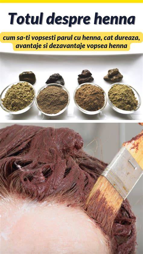 Infografic: Diferente intre henna naturala si henna neagra cu PPD