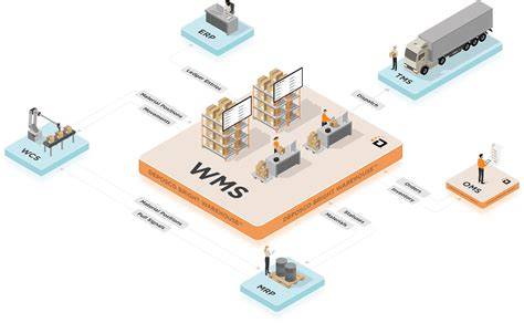 Infografic: Fluxuri WMS, Wave Planning, Task Management, și trasabilitatea stocurilor