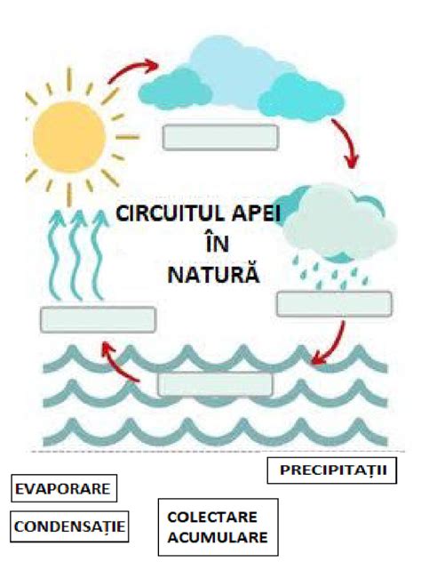 Diagramă: ciclul curățare-sterilizare a biberoanelor