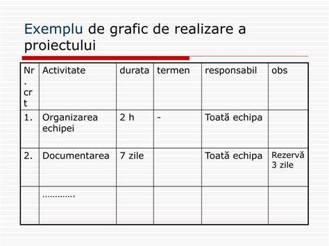 Grafic de distribuție a rolurilor în echipă