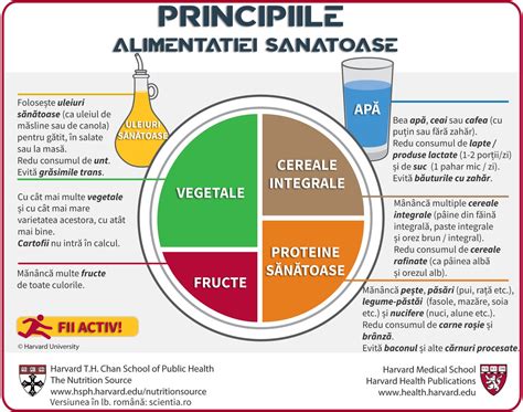 Scheme: Elemente ale unei alimentații prietenoase pentru fertilitate