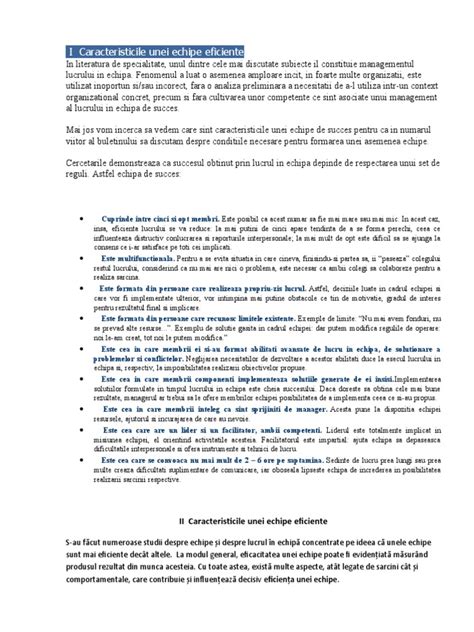 Definiția unei echipe eficiente