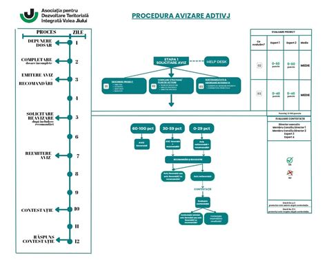 Schema procedurii de avort chirurgical