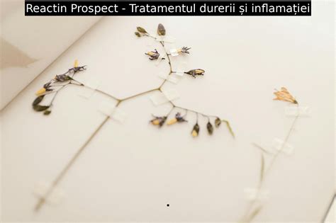 Prospect Infacol: indicații, dozaj, reacții adverse