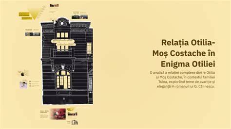 Infographic: Structura puterii financiare în Enigma Otiliei (Moș Costache, familie Tulea, Pascalopol)