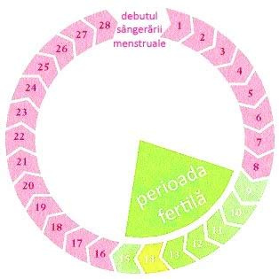 Diagrama ciclului menstrual și perioada fertilă