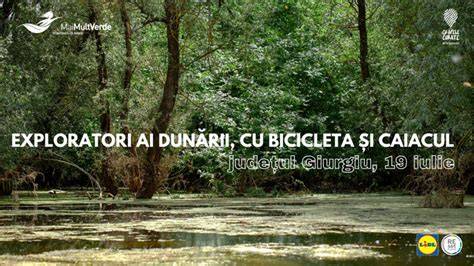 Carte poze: plaja și malul Dunării din Eșelnița