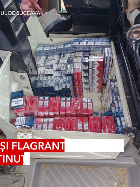 Ilustrație cu țigări de diferite mărci