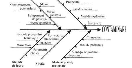 Diagrama riscuri posibile dupa plasare plasa