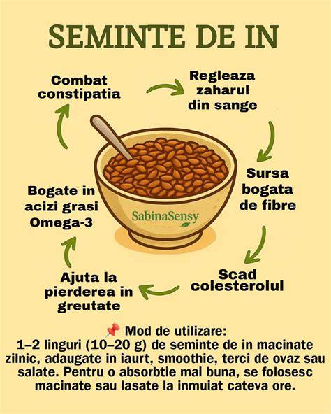 Infografic: Alimentatia zilnica recomandata a perușilor (seminte, verdeata, proteine, apă)