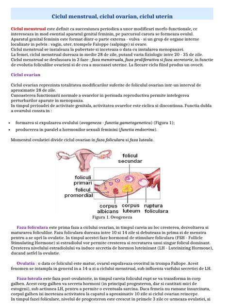 Infografi ca: ciclul ovarian, frecventa ovulatiei, ferestre fertiles