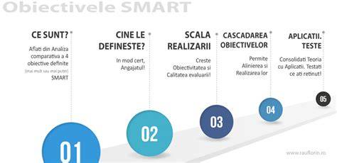 Infografic: Teste si masuratori pentru obiective SMART