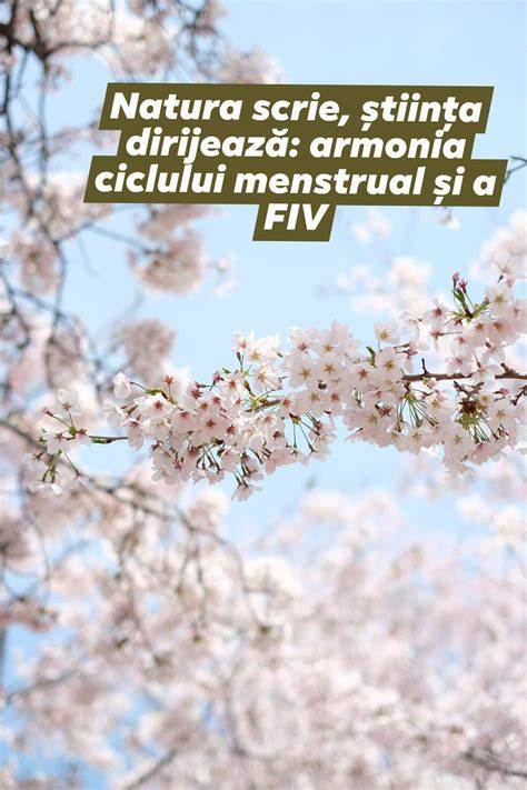 Flux clarificator: cum LH, FSH, estrogen și progesteron contribuie la ovulație și sarcină